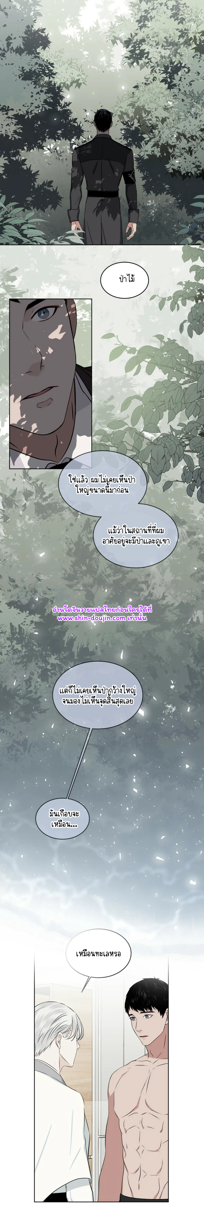 Forest Sea EP 5