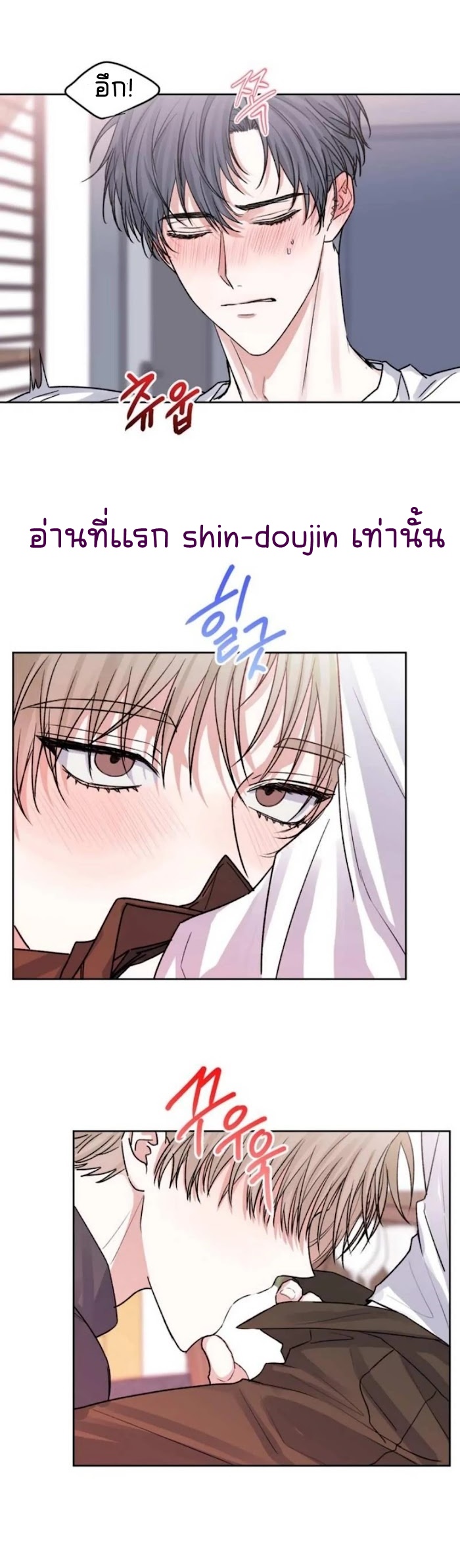 Temporary Protection EP 5