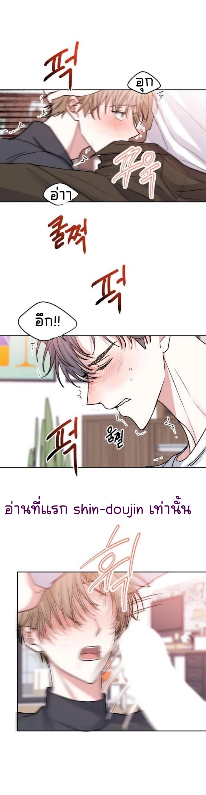 Temporary Protection EP 5