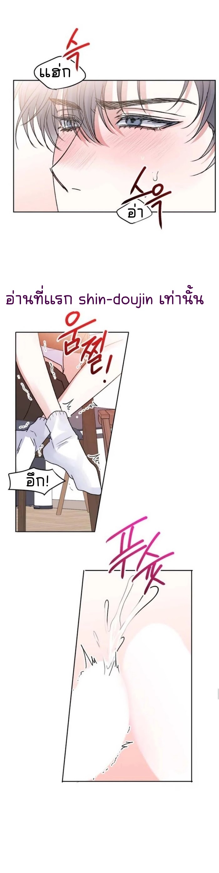 Temporary Protection EP 6
