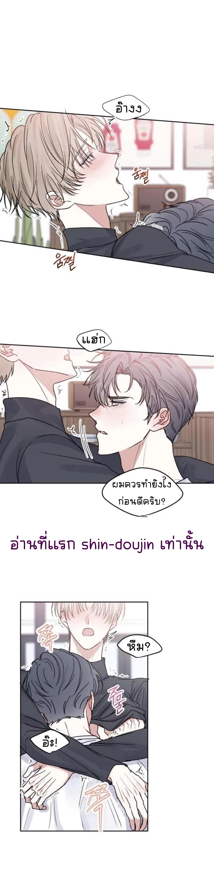 Temporary Protection EP 6