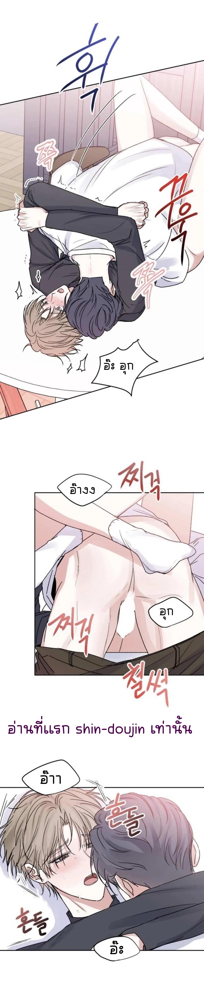 Temporary Protection EP 6