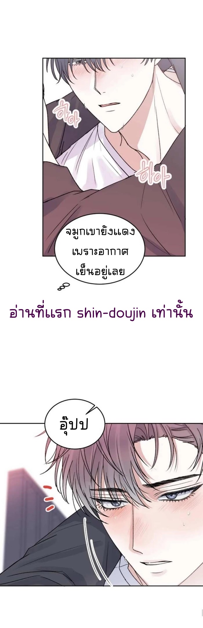 Temporary Protection EP 6
