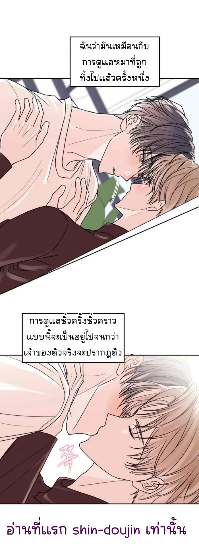 Temporary Protection EP 6