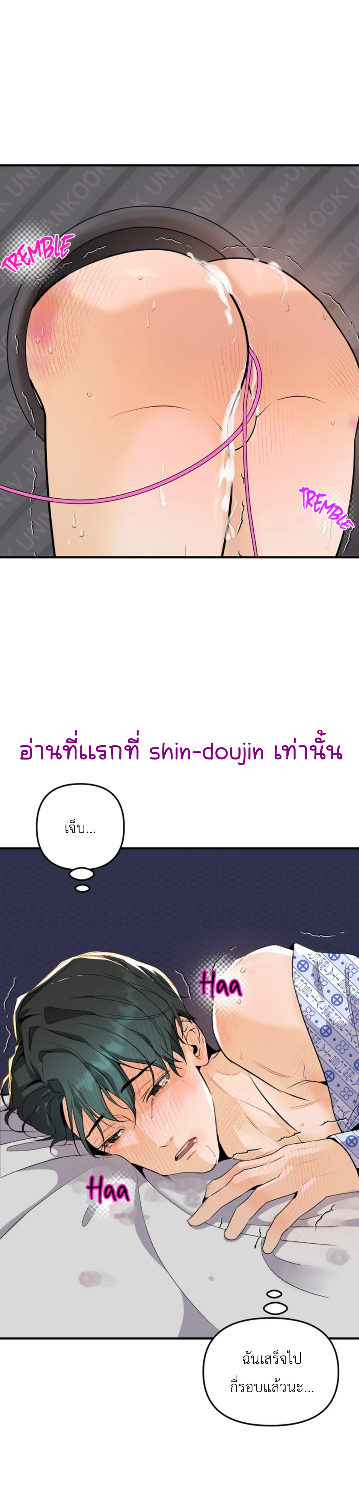 Prostate Capture Report EP 3