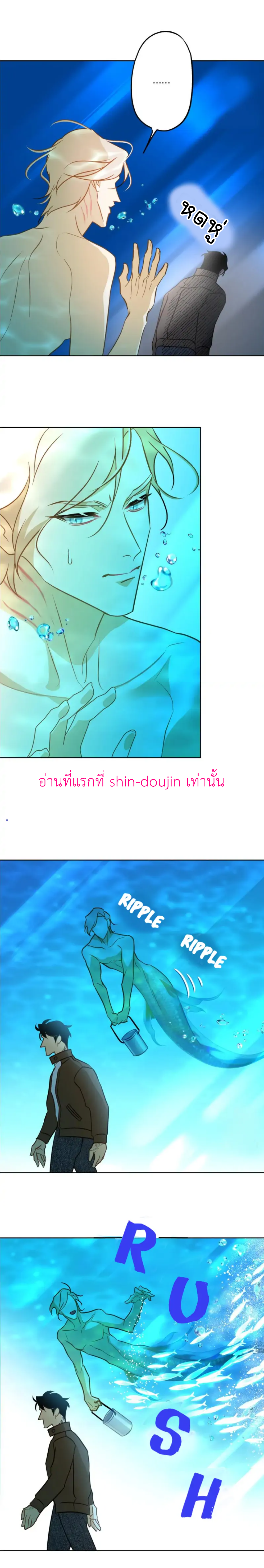 The First Love of the Sushi Restaurant Owner is a Mermaid EP 5