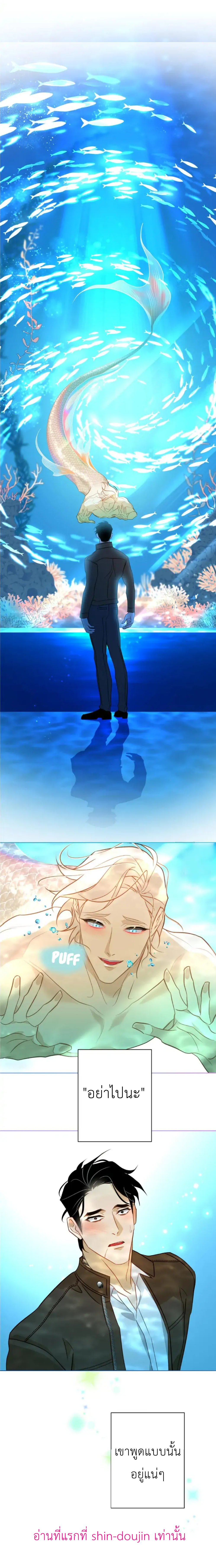 The First Love of the Sushi Restaurant Owner is a Mermaid EP 5