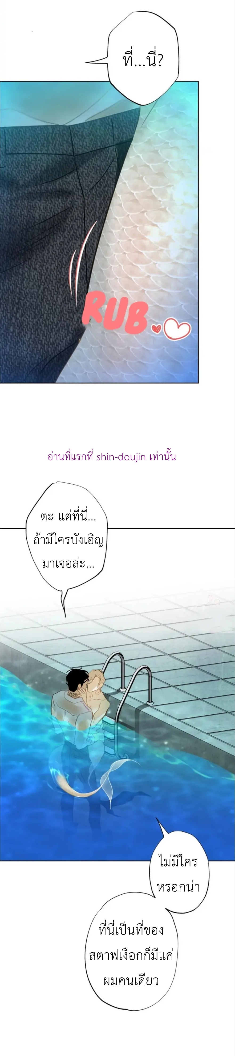 The First Love of the Sushi Restaurant Owner is a Mermaid EP 6