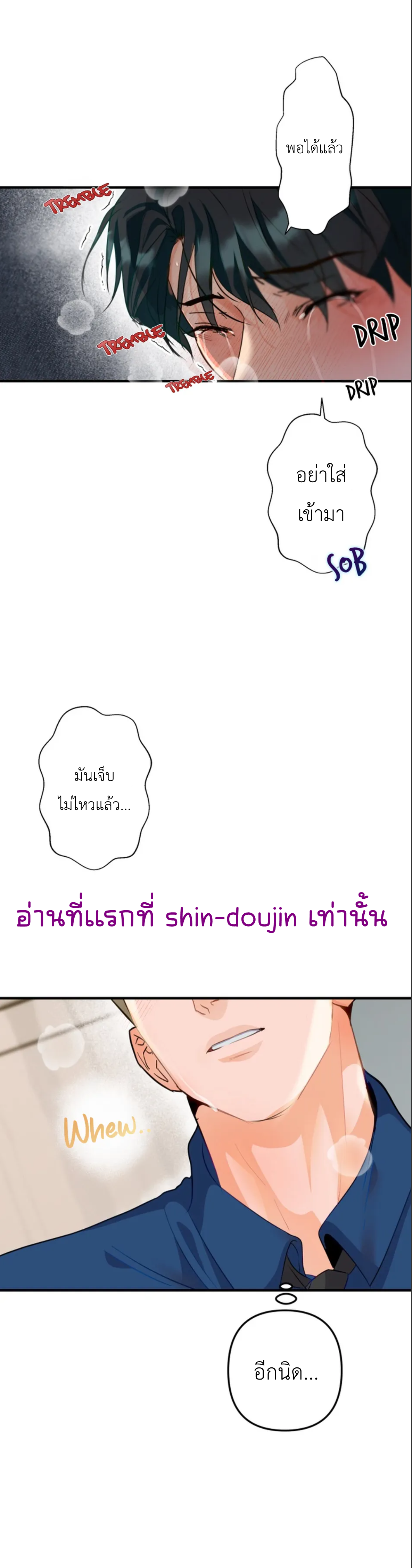 Prostate Capture Report EP 4