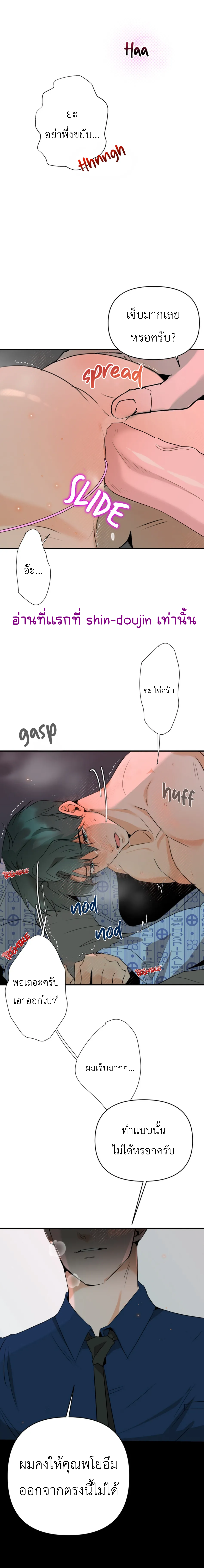 Prostate Capture Report EP 4